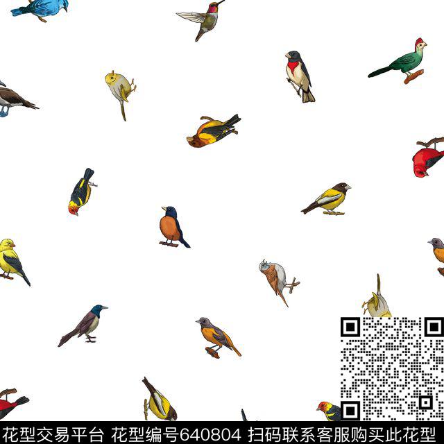 手绘鸟－白.jpg - 640804 - 鸟类 动物 昆虫 - 数码印花花型 － 男装花型设计 － 瓦栏