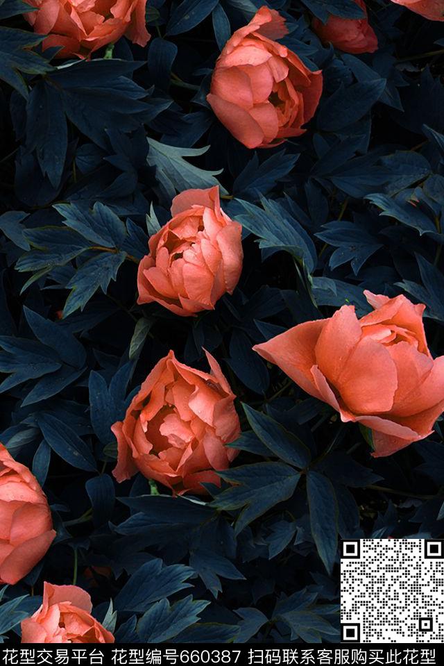 花语86a.jpg - 660387 - 芍药花 典雅 成熟 - 数码印花花型 － 女装花型设计 － 瓦栏