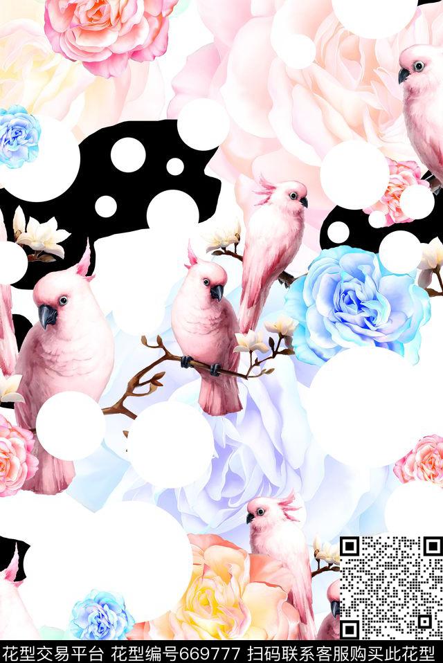 鸟儿泳装波点数码印花花型下载（图片编号: 669777） - 瓦栏（Walan）