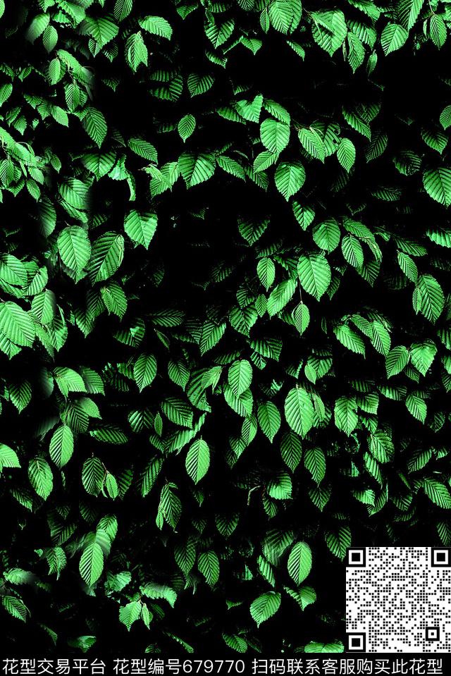 现代热带树叶数码印花花型下载（图片编号: 679770） - 瓦栏（Walan）