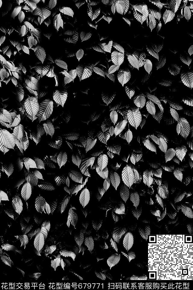 现代热带树叶数码印花花型下载（图片编号: 679771） - 瓦栏（Walan）