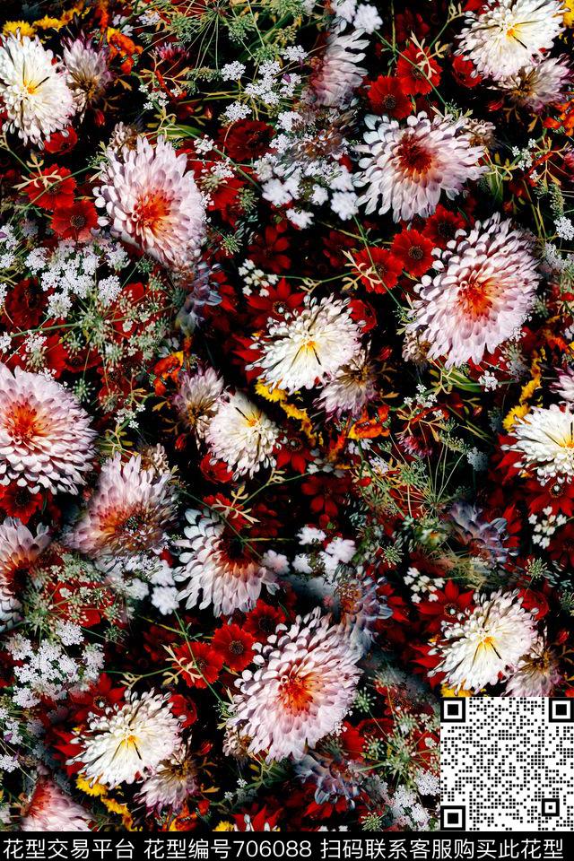 女装花卉四方连续图案数码印花花型下载（图片编号: 706088） - 瓦栏（Walan）