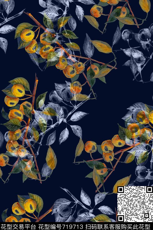 手绘半透明琵琶数码印花花型下载（图片编号: 719713） - 瓦栏（Walan）
