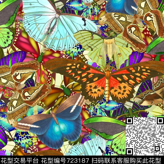 昆虫蝴蝶彩蝶数码印花花型下载（图片编号: 723187） - 瓦栏（Walan）