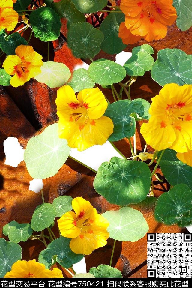 女装花卉抽象数码印花花型下载（图片编号: 750421） - 瓦栏（Walan）