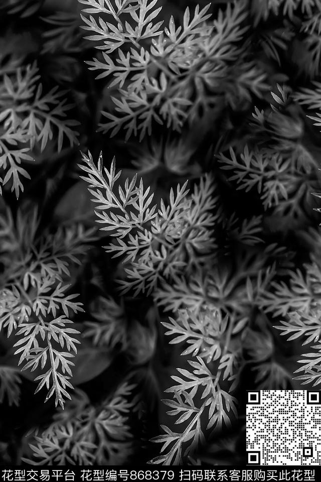 植物叶子风景数码印花花型下载（图片编号: 868379） - 瓦栏（Walan）