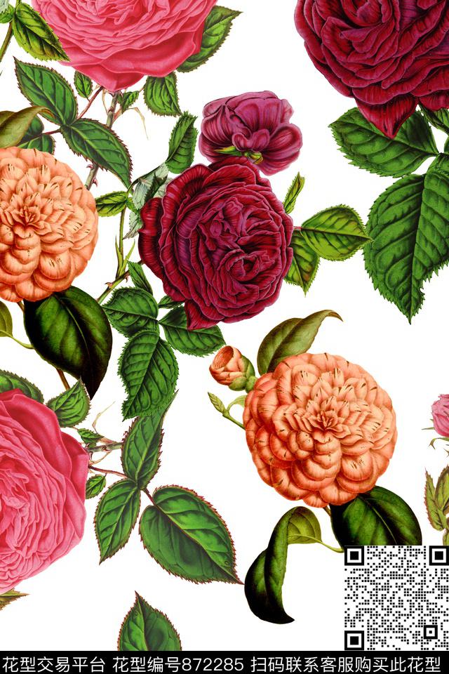 71.jpg - 872285 - 玫瑰 大花 花朵 - 数码印花花型 － 女装花型设计 － 瓦栏