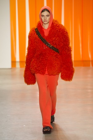 18_Dion_Lee_original_dil_ny_aw17_35.jpg
