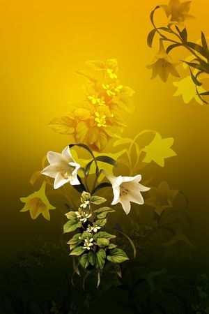 渐变印花花型图片