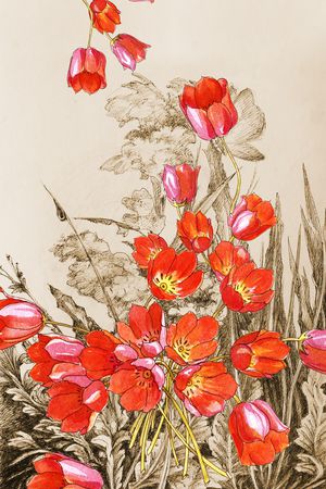 大花印花花型图片