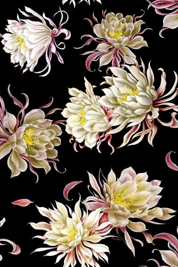 手绘花卉印花花型图片