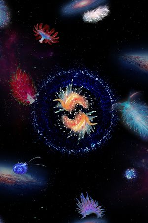 星空印花花型图片