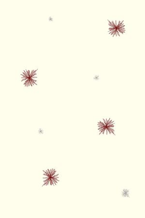 民族风印花花型图片
