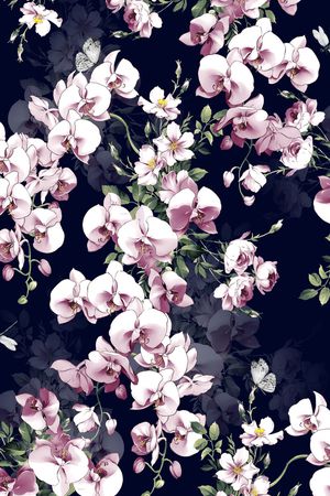 蝴蝶兰印花花型图片