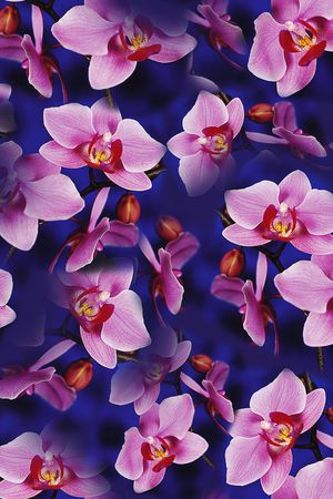 大花印花花型图片