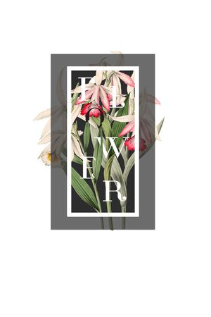 字母印花花型图片