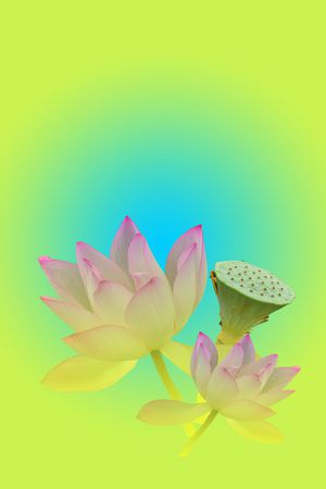花卉印花花型图片