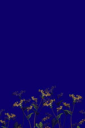 大花印花花型图片