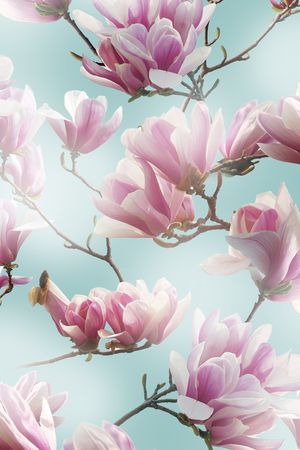 数码花型印花花型图片