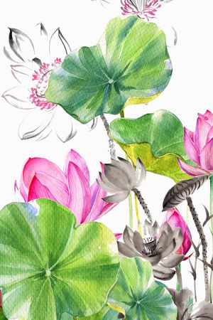 女装印花花型图片