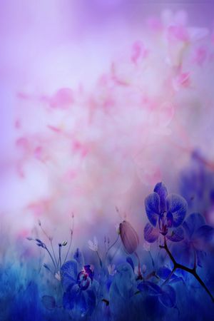 数码花型印花花型图片