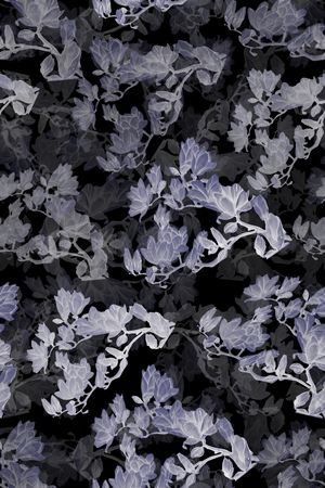 玉兰花印花花型图片