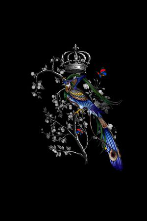 鸟印花花型图片