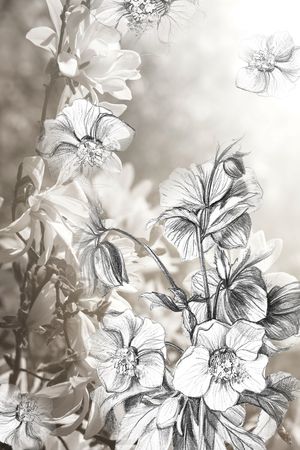 水彩花卉印花花型图片