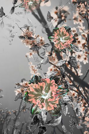 水彩花卉印花花型图片