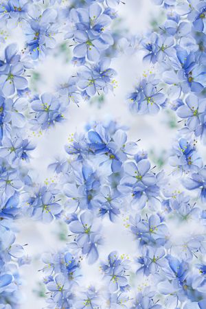 数码花型印花花型图片