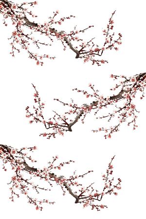 梅花印花花型图片