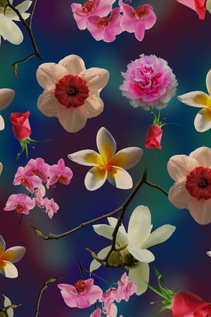 玉兰花印花花型图片
