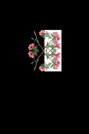 创意印花花型图片