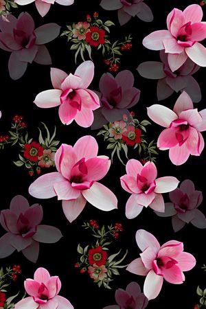 玉兰花印花花型图片