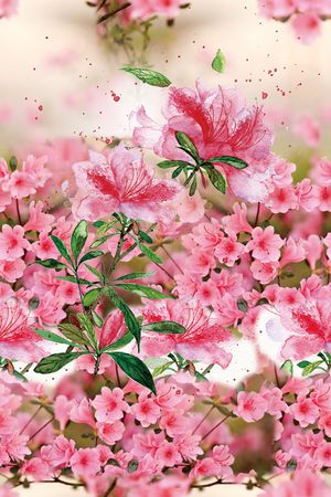 花瓣印花花型图片