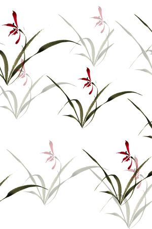 女装印花花型图片