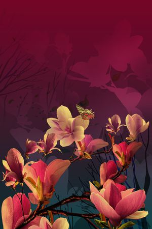 玉兰花印花花型图片