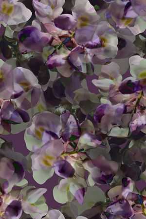 数码花型印花花型图片