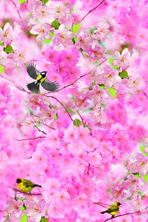 桃花印花花型图片