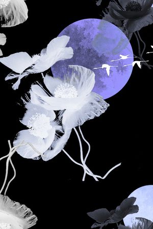 淑女印花花型图片