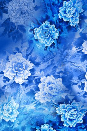 女装印花花型图片