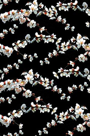 花卉印花花型图片