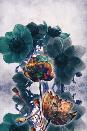 数码花型印花花型图片