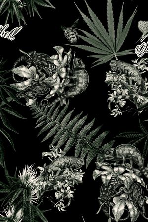 蜥蜴印花花型图片