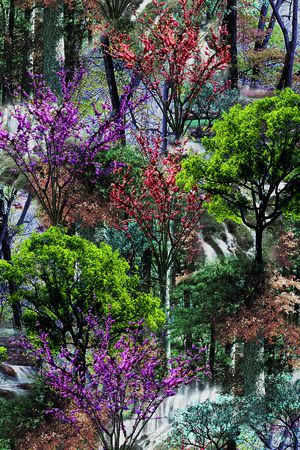 数码花型印花花型图片