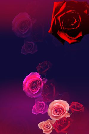 玫瑰花印花花型图片