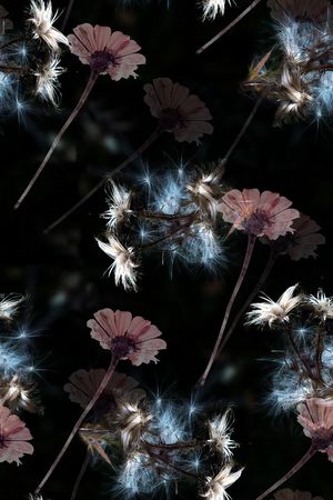 数码花型印花花型图片