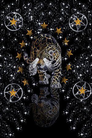 五角星印花花型图片