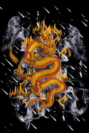黑白花型印花花型图片