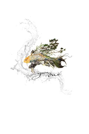 艺术印花花型图片